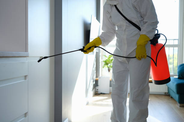 Best Mold Prevention Services  in Plainwell, MI